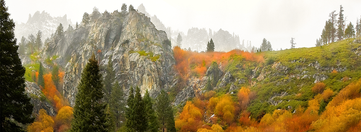 header-1.png