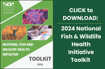 2024_NFWHI_TOOLKIT cover.jpg