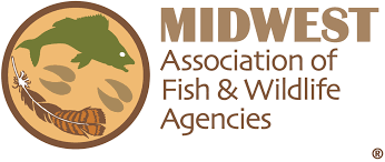 MAFWA logo.png