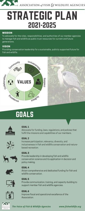 strat-plan-infographic.jpg