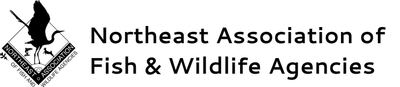 1456159497.png